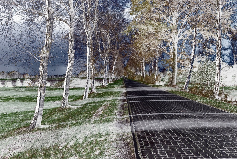 A country Alley
