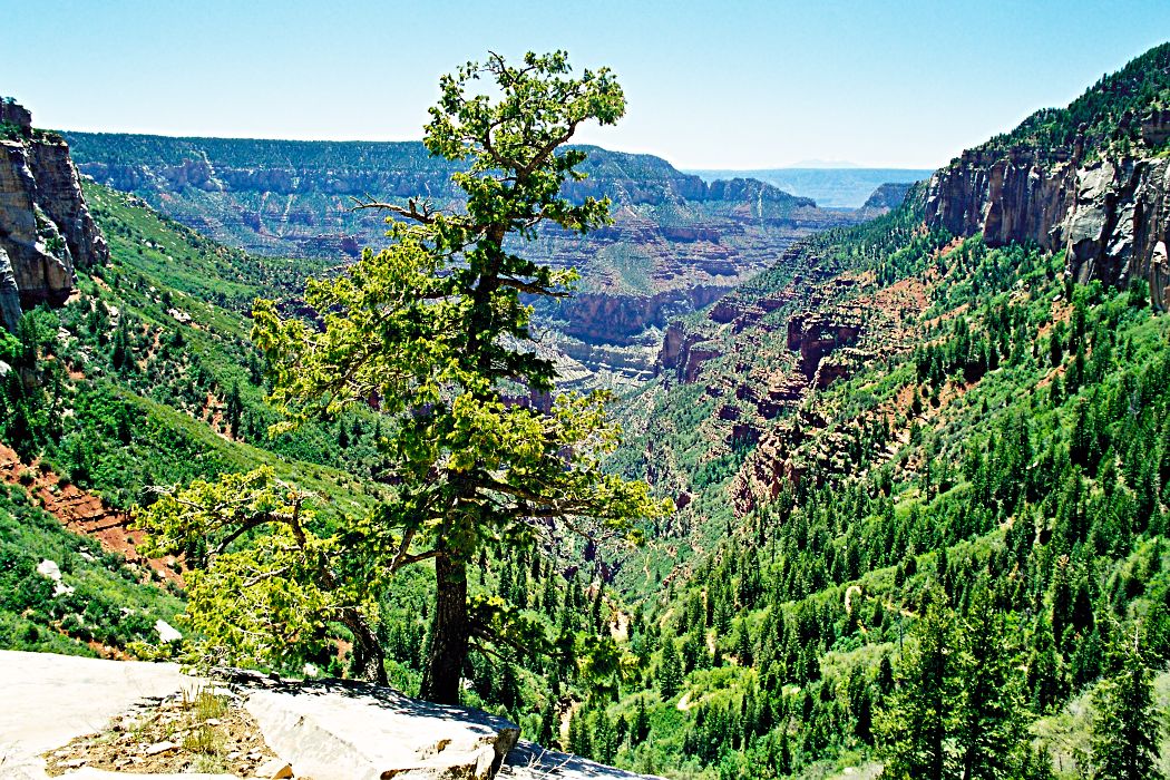 Grand Canyon, North Rim