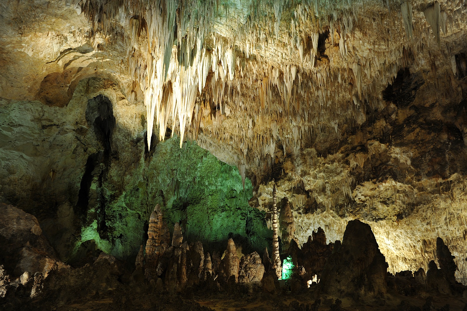 Image 19