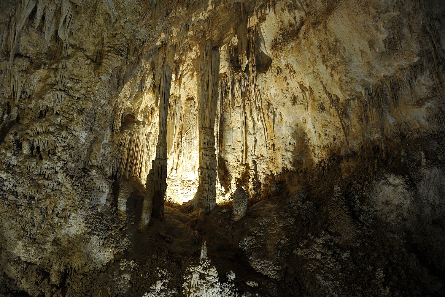 Image 23