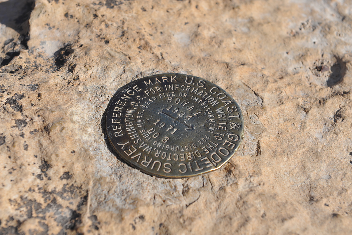 Image 69